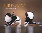 Bird Photographer of the Year Limited, Bird Photographer of the Year Limited (COR)/ King, Bird Photographer of the Year Limited - Bird Photographer of the Year