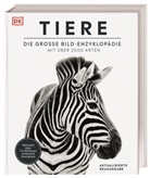 David Burnie, DK Verlag, Verlag - Tiere