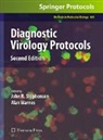 John R Stephenson, John R. Stephenson, Alan Warnes - Diagnostic Virology Protocols