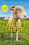 John Connell, Connell John - Twelve Sheep