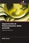 Stela Cucer - Opportunità di finanziamento delle aziende
