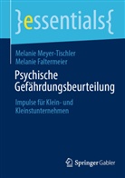 Melanie Faltermeier, Melanie Meyer-Tischler - Psychische Gefährdungsbeurteilung