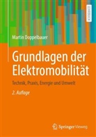 Doppelbauer, Martin Doppelbauer, Martin (Univ.-Prof. Dr.-Ing.) Doppelbauer - Grundlagen der Elektromobilität