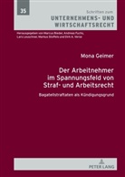 Mona Geimer, Markus Stoffels - Der Arbeitnehmer im Spannungsfeld von Straf- und Arbeitsrecht
