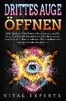 Vital Experts - DRITTES AUGE ÖFFNEN: Wie Sie durch Meditation, Visualisierung und Qi Gong Ihre Zirbeldrüse aktivieren, Ihr Bewusstsein erweitern und Chakren öffnen - Mehr Achtsamkeit mit dem Chakra Praxisbuch