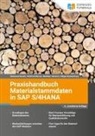 Holger Brandenburg, Matthew Johnson, Muhamed Karalic, Winfried Würzer - Praxishandbuch Materialstammdaten in SAP S/4HANA - 2., erweiterte Auflage