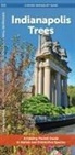 Waterford Press - Indianapolis Trees