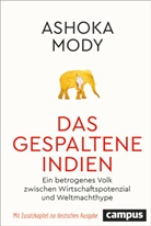 Ashoka Mody, Stephan Gebauer-Lippert - Das gespaltene Indien