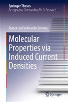 Francesco Ferdinando Summa - Molecular Properties via Induced Current Densities