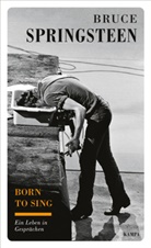 Martin Scholz, Bruce Springsteen - Born to sing