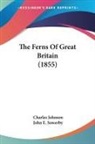 Charles Johnson - The Ferns Of Great Britain (1855)