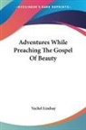 Vachel Lindsay - Adventures While Preaching The Gospel Of Beauty