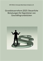 Ll. M. Schöpf, LL.M. Schöpf, Christoph Albin Robert Schöpf LL M, WP STB Dr Christoph Albin Robert Schöpf LL M - Grundsteuerreform 2025: Steuerliche Belastungen für Eigentümer von Geschäftsgrundstücken