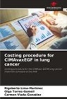 Rigoberto Lima-Martínez, Olga Torres-Gemeil, Carmen Viada-González - Costing procedure for CIMAvaxEGF in lung cancer