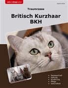 Brigitte Müller - Traumrasse Britisch Kurzhaar