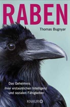 Thomas Bugnyar - Raben