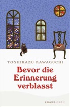 Toshikazu Kawaguchi - Bevor die Erinnerung verblasst