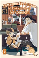 Deme Kingyobachi - Seltsame Ereignisse im Einkaufsviertel Nekomachi 01