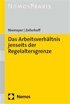 Willem Niemeyer, Saskia Constanze Zellerhoff - Das Arbeitsverhältnis jenseits der Regelaltersgrenze
