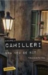 Andrea Camilleri, Pau Vidal Gavilan - Una veu de nit