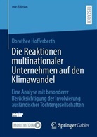 Dorothee Hofferberth - Die Reaktionen multinationaler Unternehmen auf den Klimawandel