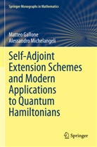 Matteo Gallone, Alessandro Michelangeli - Self-Adjoint Extension Schemes and Modern Applications to Quantum Hamiltonians