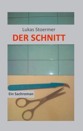 Lukas Stoermer - Der Schnitt EinSachroman