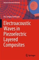Ara Sergey Avetisyan - Electroacoustic Waves in Piezoelectric Layered Composites