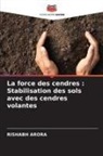 Rishabh Arora - La force des cendres : Stabilisation des sols avec des cendres volantes