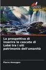 Pierre Amougou - La prospettiva di inserire le cascate di Lobé tra i siti patrimonio dell'umanità