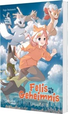Inga Steinmetz - Felis Geheimnis