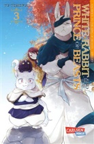 Yu Tomofuji - White Rabbit and the Prince of Beasts 3
