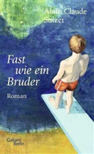 Alain Claude Sulzer - Fast wie ein Bruder