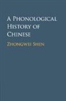 Zhongwei Shen - A Phonological History of Chinese