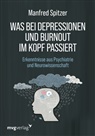 Manfred Spitzer - Was bei Depressionen und Burnout im Kopf passiert
