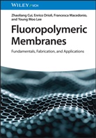 Zhaoliang Cui, Enrico Drioli, Young Moo Lee, Francesca Macedonio - Fluoropolymeric Membranes