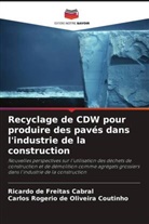 Ricardo de Freitas Cabral, Carlos Rogério de Oliveira Coutinho - Recyclage de CDW pour produire des pavés dans l'industrie de la construction