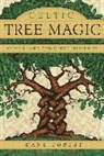 Danu Forest, Forest Danu - Celtic Tree Magic