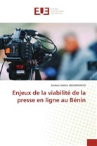 Saldace Sèdolo DEGUENONVO - Enjeux de la viabilité de la presse en ligne au Bénin