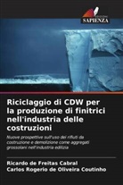 Ricardo de Freitas Cabral, Carlos Rogério de Oliveira Coutinho - Riciclaggio di CDW per la produzione di finitrici nell'industria delle costruzioni