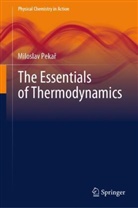 Miloslav Peka¿, Miloslav Pekar - The Essentials of Thermodynamics