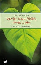 Gernot Candolini - Was für immer bleibt, ist die Liebe