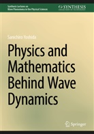 Sanichiro Yoshida - Physics and Mathematics Behind Wave Dynamics