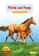 Hanna Sörensen, Jochen Windecker - Pixi Wissen 1: Pferde und Ponys