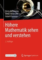 Hubert Dammer, Haftendorn, Dörte Haftendorn, Dieter Riebesehl - Höhere Mathematik sehen und verstehen
