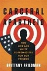 Brittany Friedman, Brittany Michelle Friedman - Carceral Apartheid