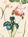 Pierre-Joseph Redouté - Redouté's Fabulous Flowers Journal