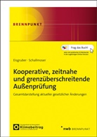 Thomas Eisgruber, Ulrich Schallmoser, Ulrich Dr. Schallmoser - Kooperative, zeitnahe und grenzüberschreitende Außenprüfung