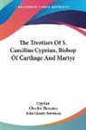 Cyprian, John Henry Newman, Charles Thornton - The Treatises of S. Caecilius Cyprian, Bishop of Carthage and Martyr