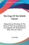 J. H. Walsh - The Dogs Of The British Islands